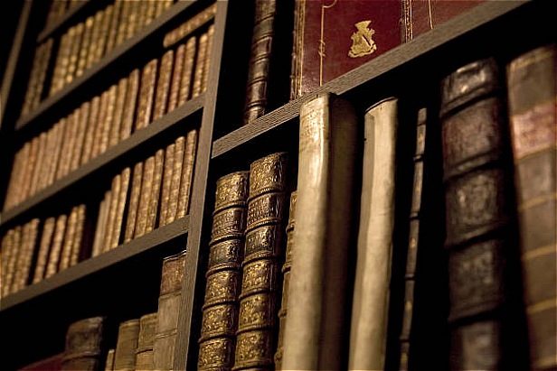 فلج مغزی و نقش کاردرمانی در بهبود کیفیت زندگی بیماران